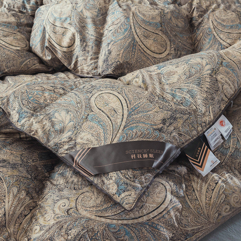 Eurostyle autumn goose down quilted by winter 80S Johan silk double bed thickened warm quilt by the core space Pezli
