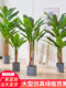 Nordic large simulation green plant banana fake green plant simulation indoor living room scattered tail sunflower decoration outdoor banana fake tree