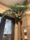 Decorative Cover for Sewer and Fire Pipes, Balcony Makeover, Artificial Greenery, Coconut Tree Leaves to Hide Unsightly Pipes