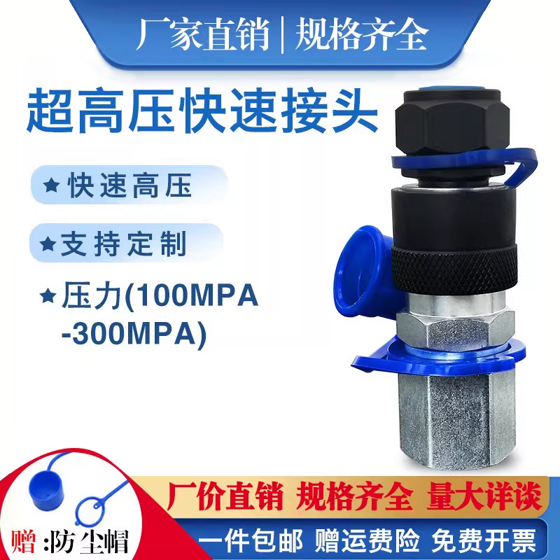 Xien Cejn Interchangeable Ultra-High Pressure Quick Connector 116 125 Series G1/4 150-400Mpa Oil Pipe Quick Plug
