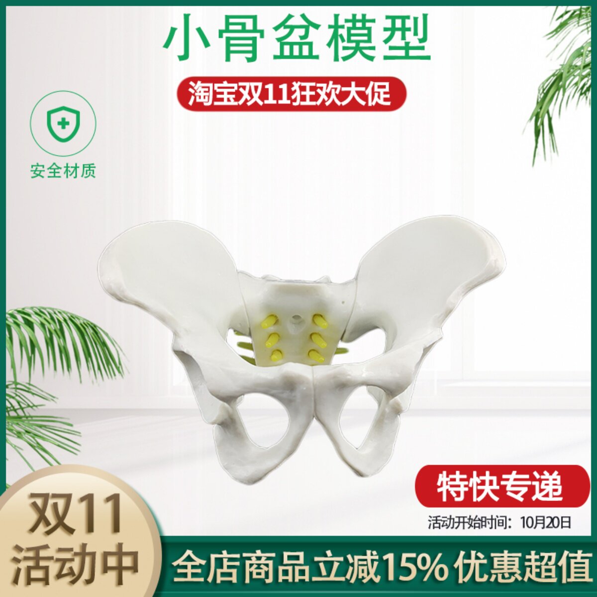 盆骨模型 小型人体骨盆模型 分娩示范教学模型桌上礼品模型  包邮