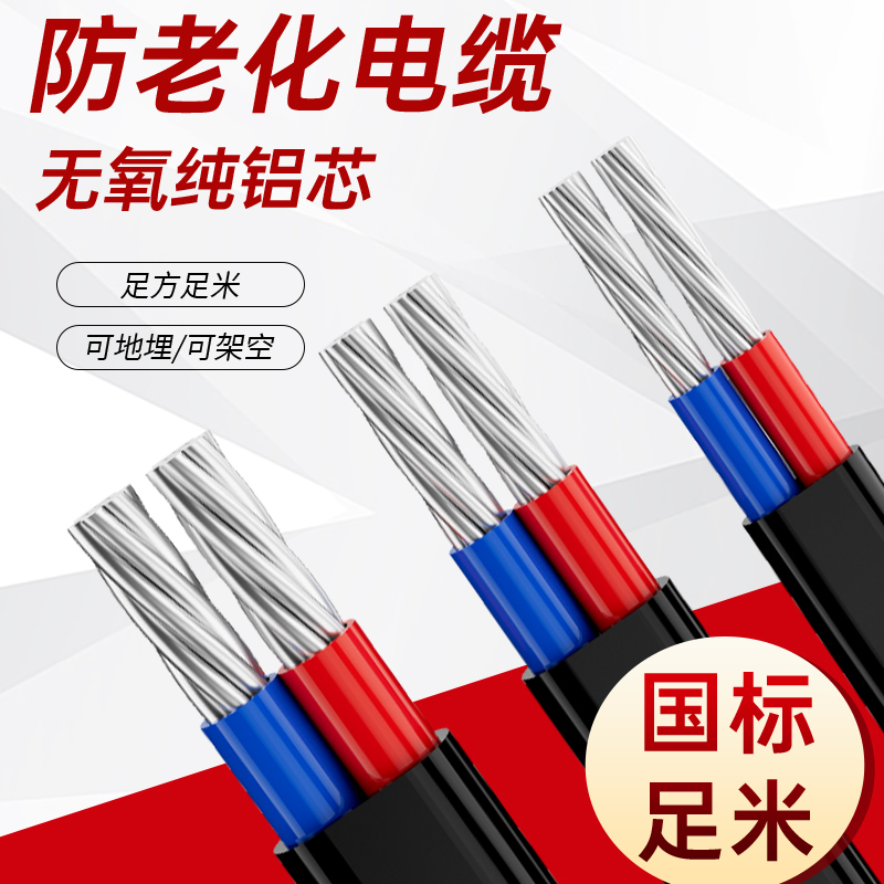 National Standard 2-Core Cable Aluminum Core Outdoor Sun-Resistant 2.5 4 6 10 16 25 Square Double-Core Wire Aluminum Wire