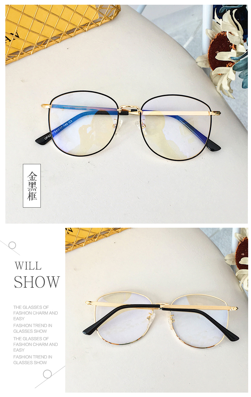Montures de lunettes en Alliage de nickel - Ref 3140605 Image 15