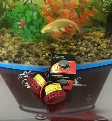 High decibel buzzer BC-3K sound and light six Sound Siren 5v 6v 9v 12v 24V DC buzzer