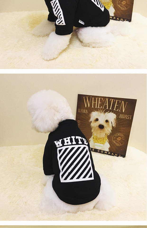 Pet Tide thương hiệu quần áo chó lông nhung mỏng hơn gấu chó Bomei quần áo chó nhỏ mùa xuân và mùa thu chó hai chân quần áo - Quần áo & phụ kiện thú cưng bộ quần áo cho mèo