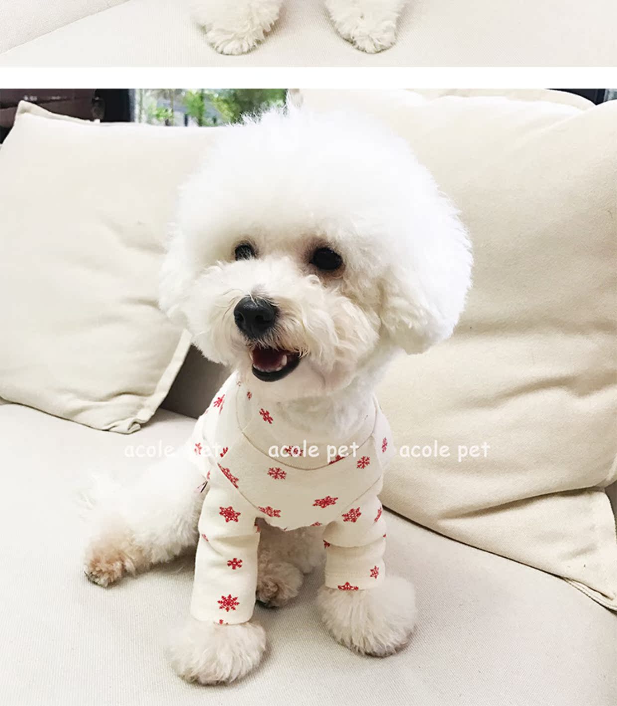 Hai mảnh của mùa đông mới bông cao cổ Giáng sinh bông tuyết chạm đáy Teddy gấu chó mèo quần áo thú cưng - Quần áo & phụ kiện thú cưng áo cho chó phốc