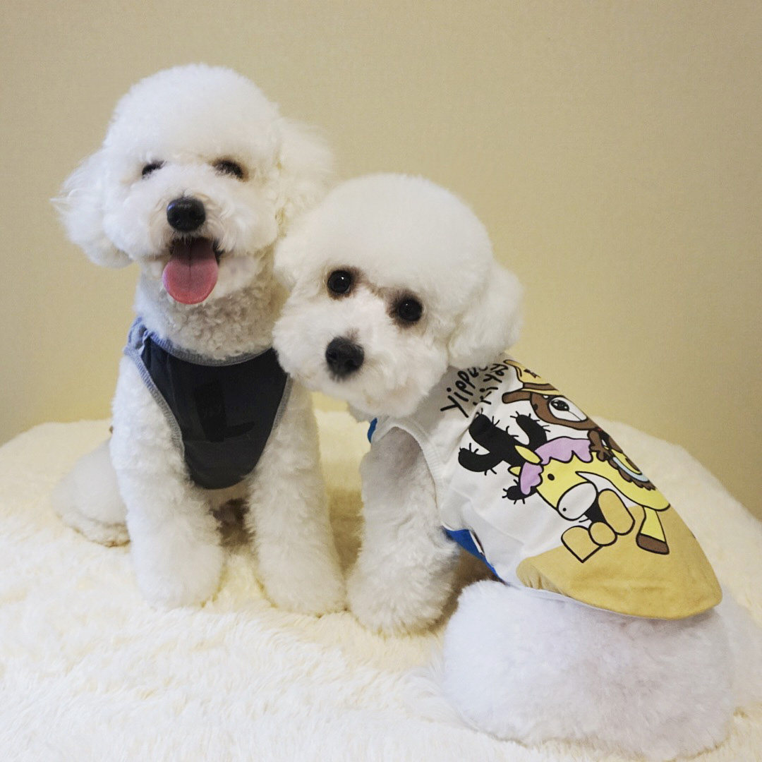 Thin cotton Korean print vest summer Bichon Frise Schnauzer small dog clothes dog clothes summer