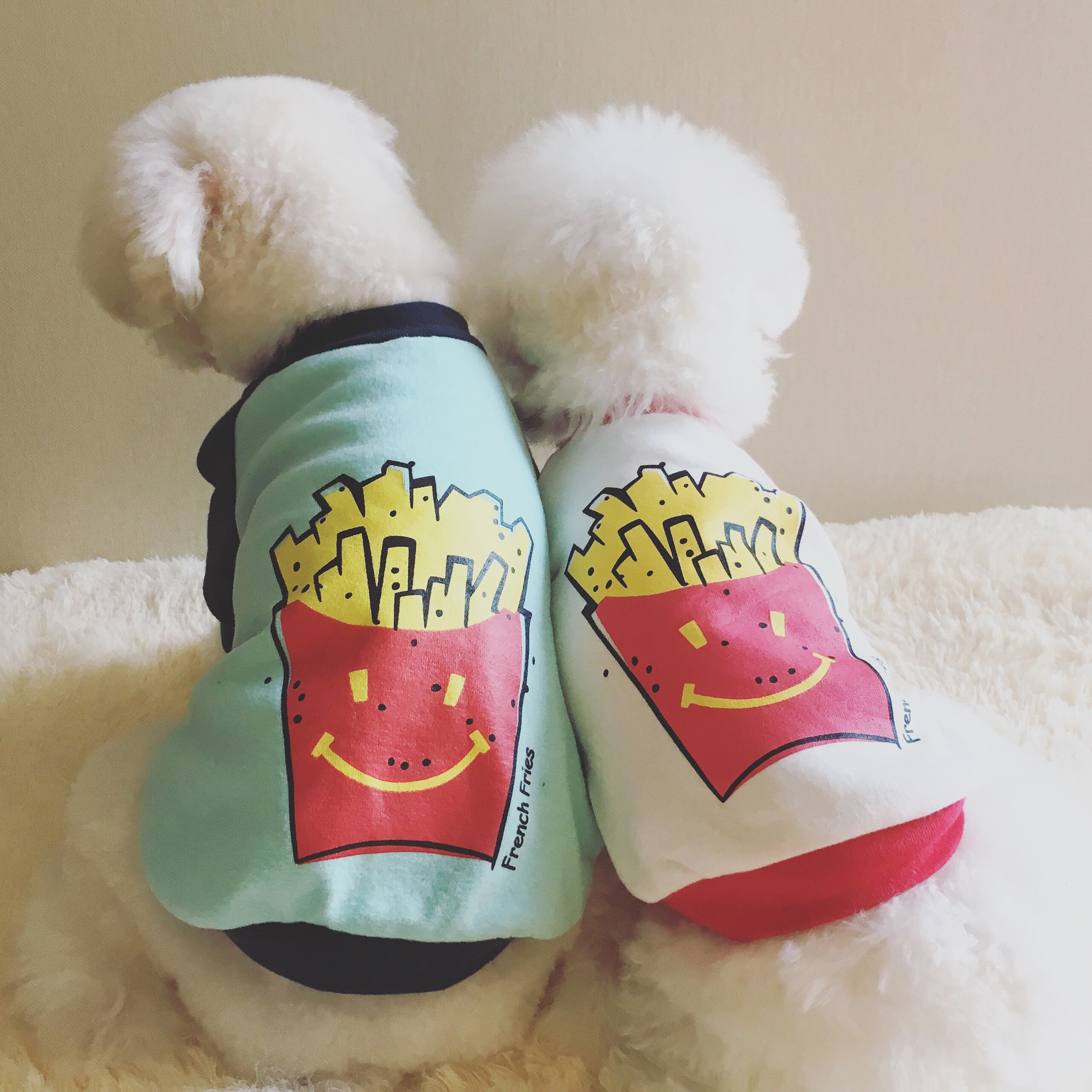 Cute Korean version of cotton casual tops thin section teddy bichon clothes spring and summer pet clothes cat dog clothes