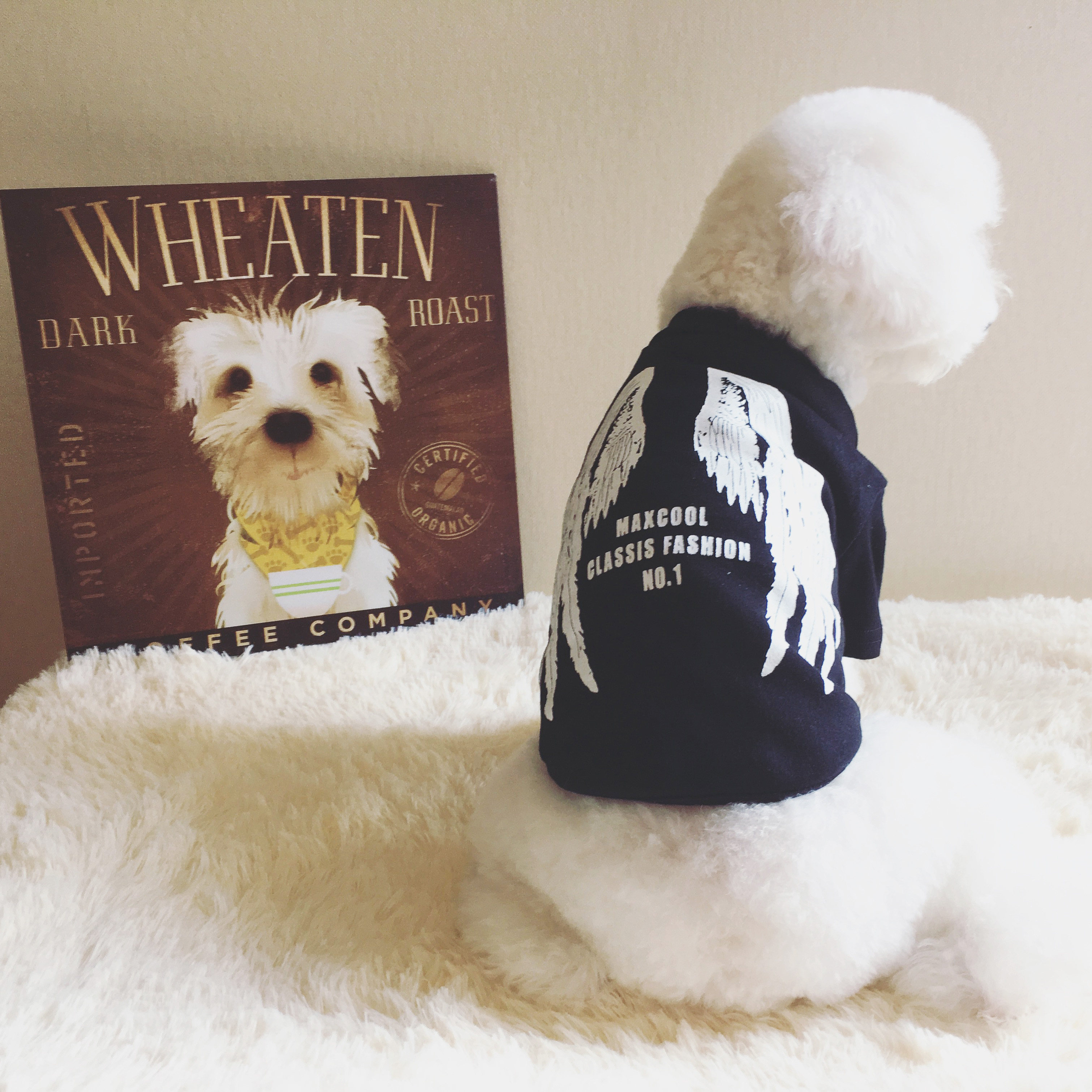 Spring and summer pure cotton wings printing tide brand pet thin T-shirt pug dog Bichon dog spring clothes Teddy summer clothes