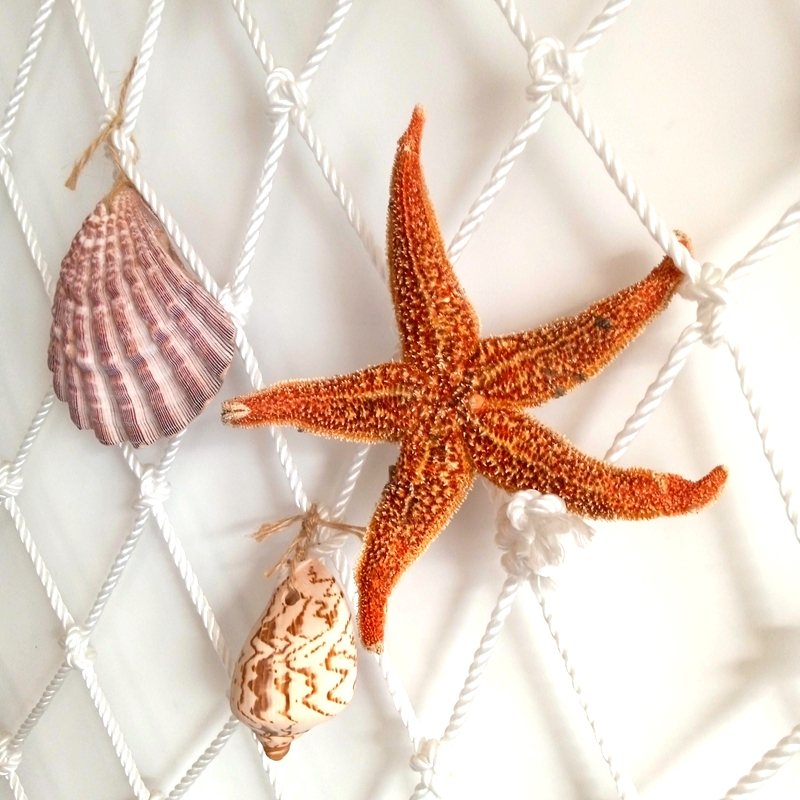 Natural Primary Color Thorns Dancing Pentagon King Sea Star Shells Sea Snail Mediterranean Home Terrace Decorations Wall Stickleon