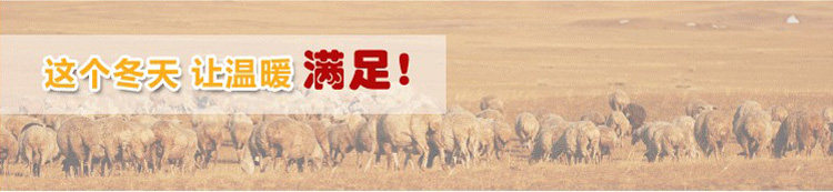 Chaussettes - collants simple - Ref 757659 Image 13