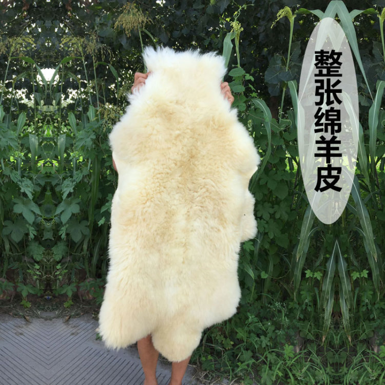 Whole Sheepskin Pure Wool Genuine Leather Sofa Chair Cushion Winter Sheepskin Fur Integrated Bedside Bedroom Carpet Car