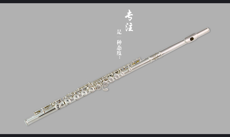 Murphyt mạ bạc sáo sáo sáo nhạc cụ chính hãng 16 lỗ 17 lỗ đóng lỗ C điều chỉnh sáo bạc / miễn phí vận chuyển - Nhạc cụ phương Tây kèn trumpet