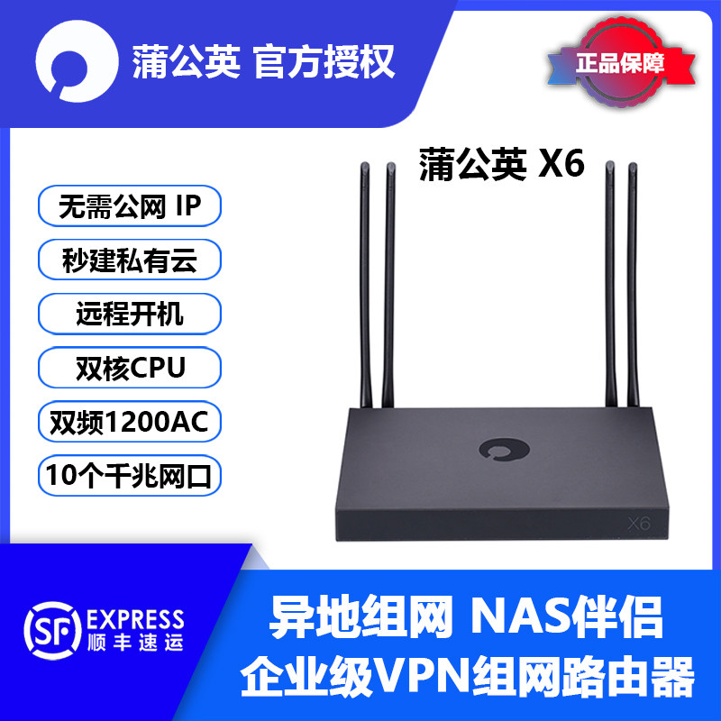 Dandelion X6 one thousand trillion Wireless Enterprise-class Router Dual-frequency wifiVPN off-site networking Virtual LAN Nas