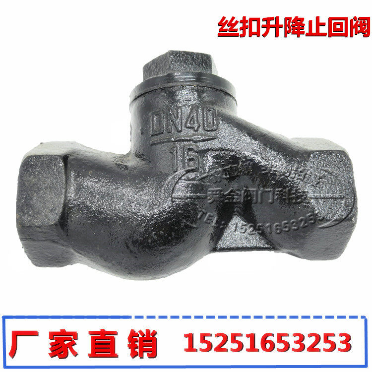 H11T-16 Lifting horizontal check valve Cast iron inner thread buckle check valve DN25 40 50 6 minutes 1 inch