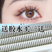 Type Fairy Fake Eyelash Female single tuff Fairy Hair Eyelash Graft Single Sectional New natural simulation Dairy