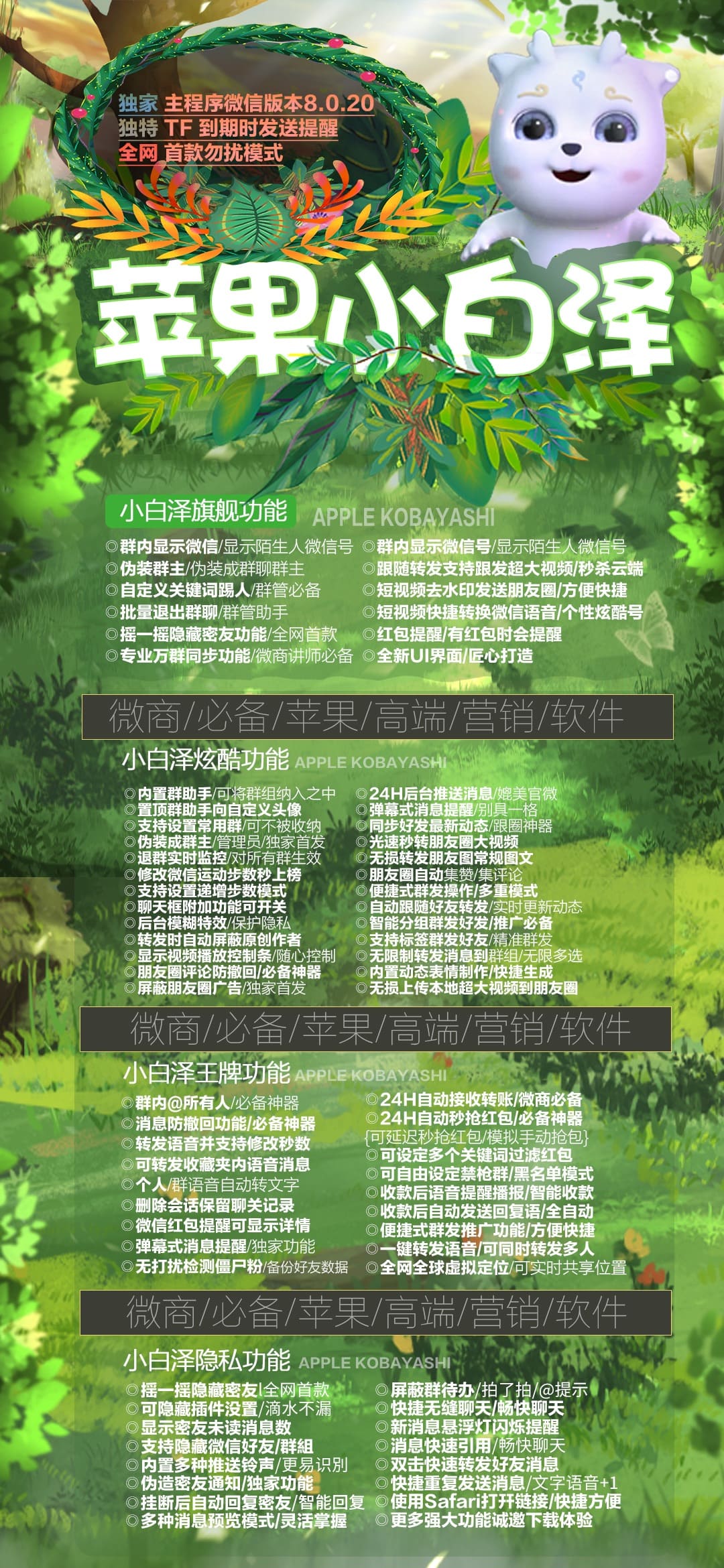 小白泽.jpg