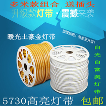 LED5730 light Belt Local tyrant gold 220V project yellow light 72 lamp beads flexible indoor and outdoor waterproof warm light Belt