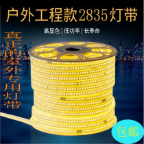 LED pure copper wire lamp strip 2835 lamp strip 120 lamp beads Flexible outdoor waterproof super bright anti-aging high bright