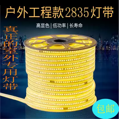 LED pure copper wire light with 2835 light with 120 lamp beads flexible outdoor waterproof super bright Anti-Aging bright