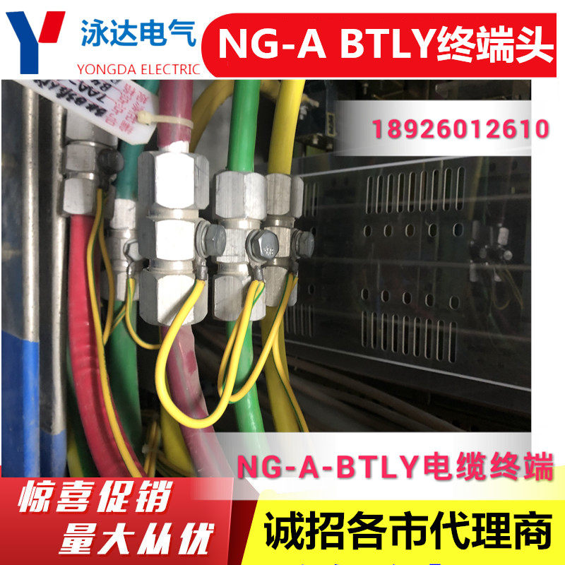 Central Asia assorted NG-A-BTLY mineral cable aluminium joint specifications Model complete 4 * 25 1*16