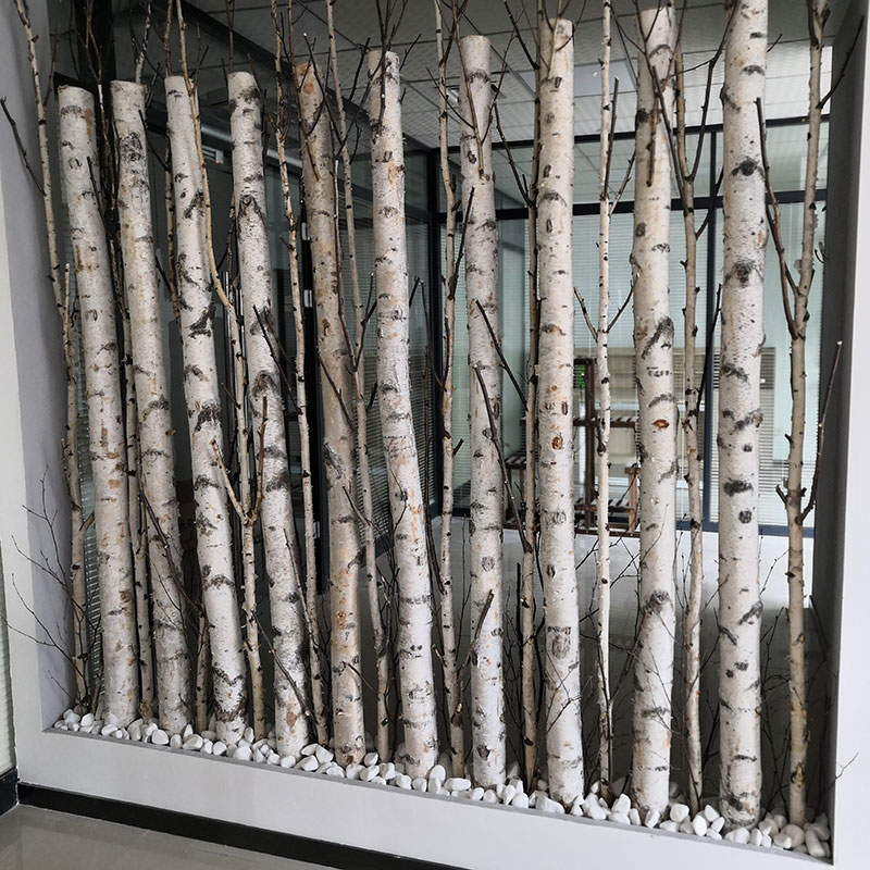Natural White Birch Tree White Birch Tree Rod White Birch Tree Fork Partition Decoration White Birch Wood Mall Cloth View Shop Window Background Wall