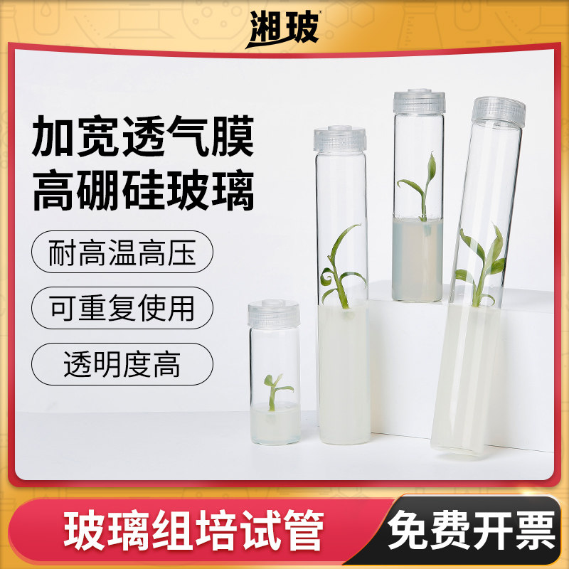 玻璃组培试管透气盖耐高温无菌菌种瓶初代植物组织培养基琼脂实验