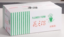 Jiangsu Zhejiang and Shanghai Greenleaf® Flower Mud Wet flower mud for flower arrangement 20 pieces in a box