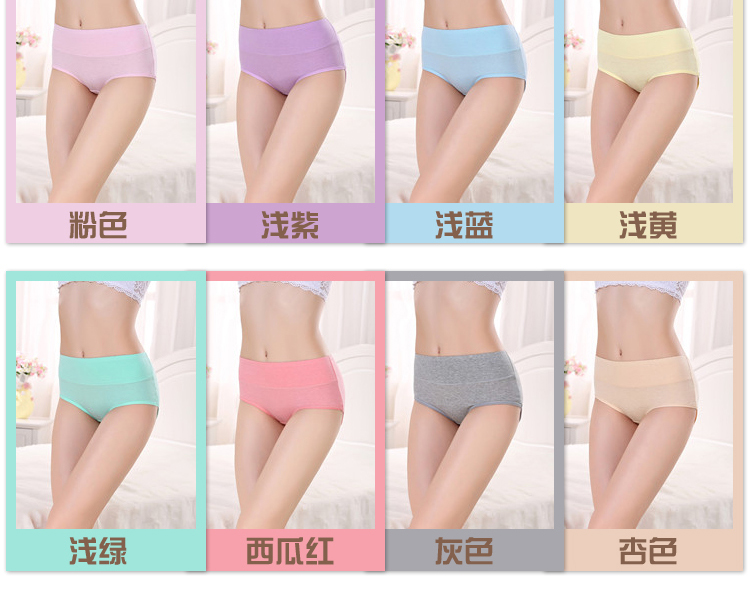 Slip simple en coton - Ref 640214 Image 13