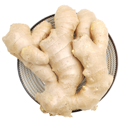 MS Selection Ginger 250g (z)