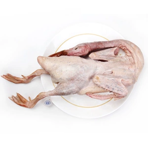 Txd Xiangjia Old Duck 1000G