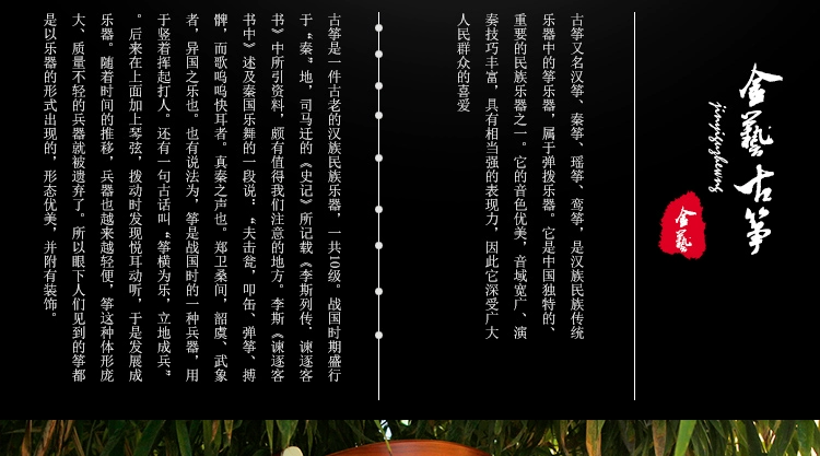 Nhạc cụ Jinyi A048-1 hi trên đầu mận dành cho người mới bắt đầu thử nghiệm trình diễn chuyên nghiệp ốc sên hoa Dương Châu guzheng - Nhạc cụ dân tộc