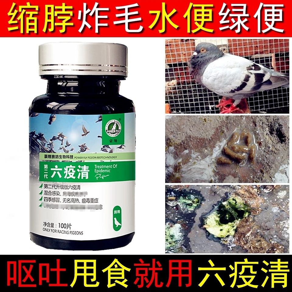 Hao Xiang pigeon thuốc adenovirus Newcastle bệnh bìu Salmonella điều hòa thư cạnh tranh chim bồ câu cung cấp sáu viên thuốc dịch rõ ràng - Chim & Chăm sóc chim Supplies cám cho chim