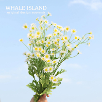 Photo props Small Daisies Fake flowers Bouquet Simulation flowers Picnic supplies Dried flowers ins Small fresh floral graduation season