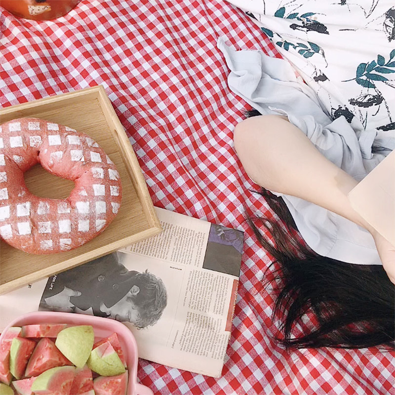 ins day style spring tours supplies net red picnic cloth plaid outdoor polo dot retro idi garden little frescoed stall tablecloths