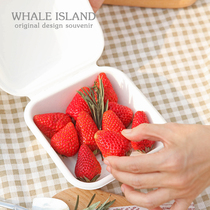 Net red party portable fruit box picnic sandwich bento box Japanese disposable spring outing light salad carton