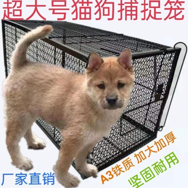 Humanitarian Rescue Cat Trap Cage, Outdoor Professional Tool for Catching Cats and Dogs, Extra-Large Trap for Catching Wild Cats and Mice, Household Clip-Type Cat Catcher