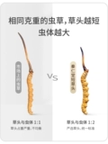 2022 Официальный флагманский магазин Qin Rentang Коротко -графика -подарочная коробка Cordyceps Sinensis Подлинные сухие товары над праздничным подарком 10G