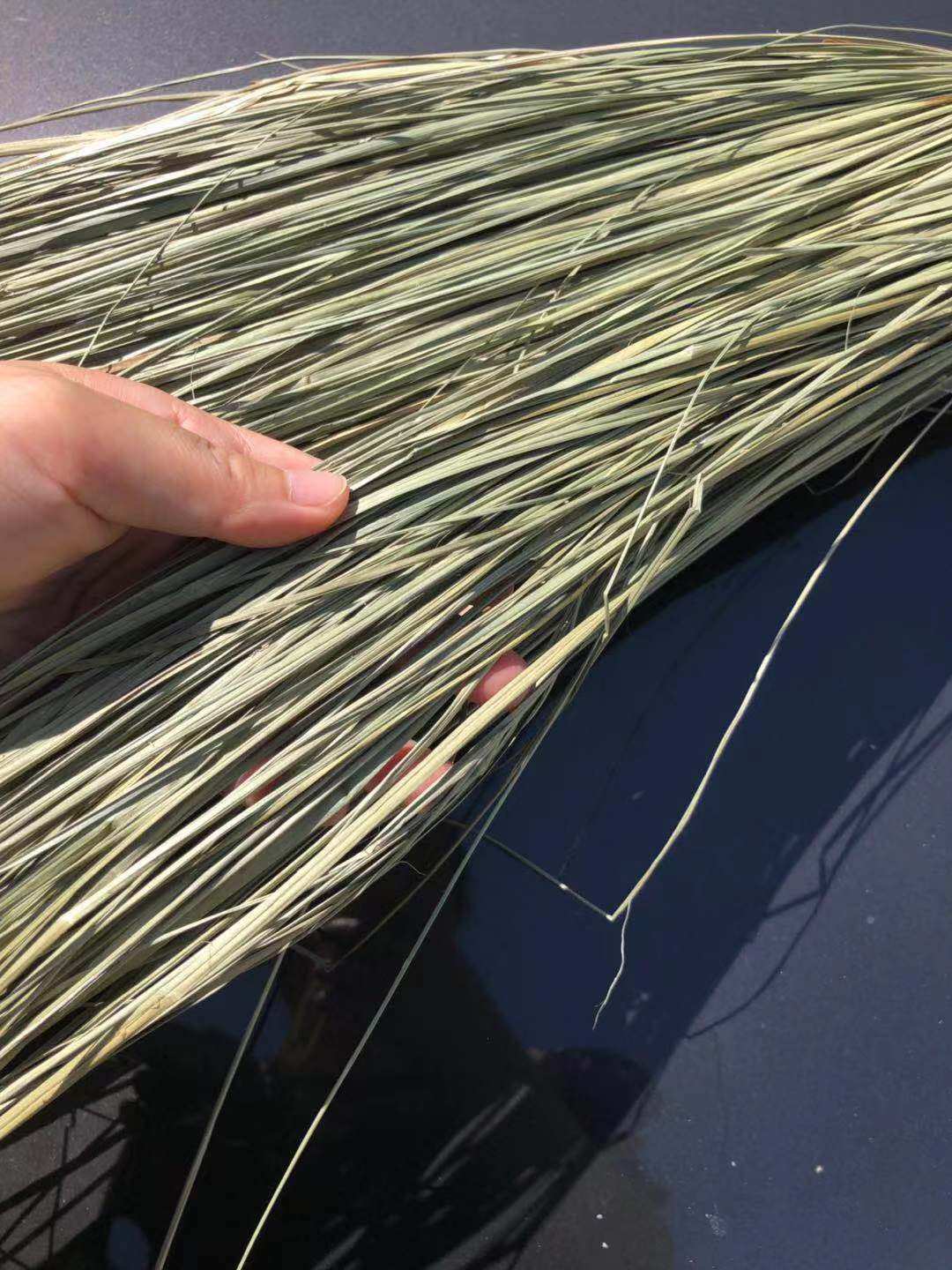 Clear crab tied herb rope and crab crab special green natural vanilla and bag beard