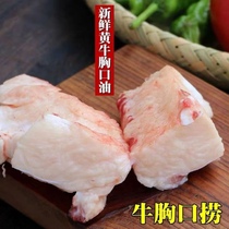 Fresh Now Kill Cow Chest Oil 500g Yellow Beef Anhui Chest Mouth Crisp Mouth Barbecue Hotpot Ingrédients