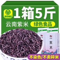 Yunnan Zimi 2023 Xinmi Zhengzong Blood glutineux riz brun encre de riz Jiang Wugu Céréales Coarse Grain Riz Groupe Matériaux commerciaux