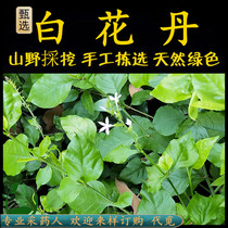 Freshly picked White Flower Dan Chaoshan Qingcaotang Jiuzhongtuo Uncaria Tuojiuxiaoqianli and Wumian Mashan Suying