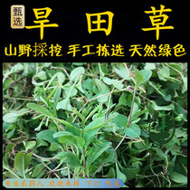 Freshly brewed Chaoshan green grass dry field grass duckweed betel grass menstruation-regulating grass sawgrass trumpet tiger tongue Huang