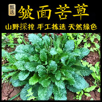 Freshly picked Chaoshan green herbs wrinkled bitter grass lychee grass toad grass toad grass shrimp grass snow primrose grass