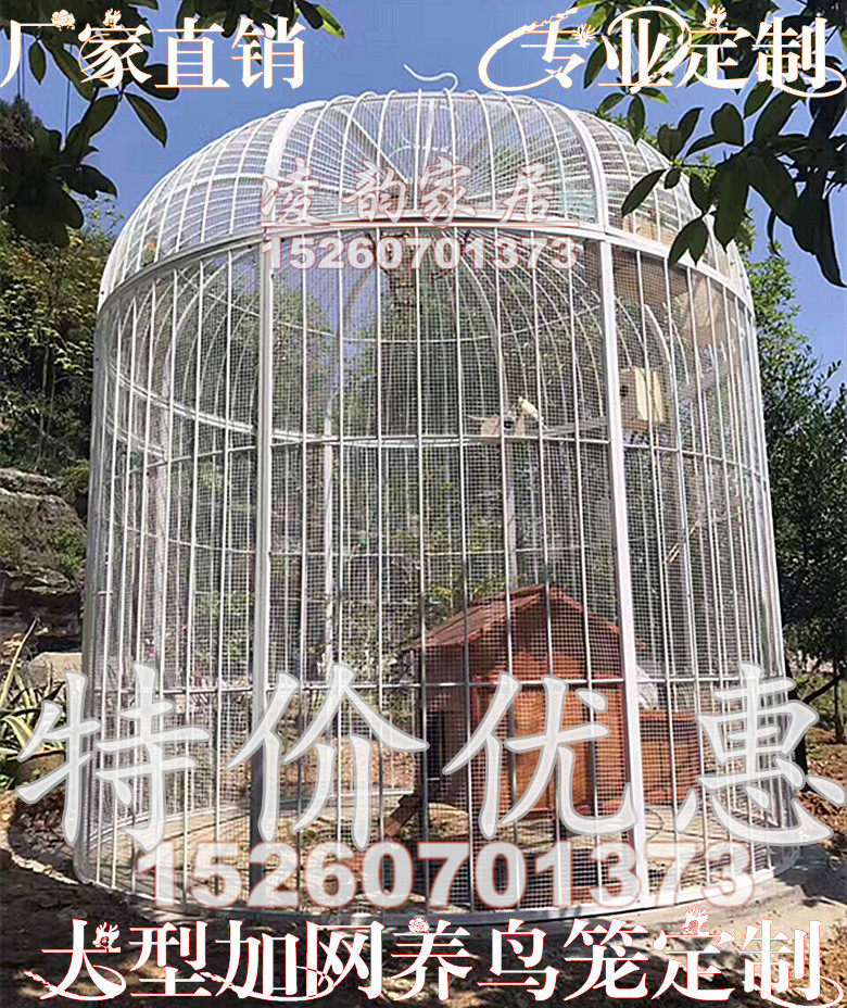Iron decoration extra large bird cage restaurant bird cage outdoor large peacock cage parrot net large bird cage