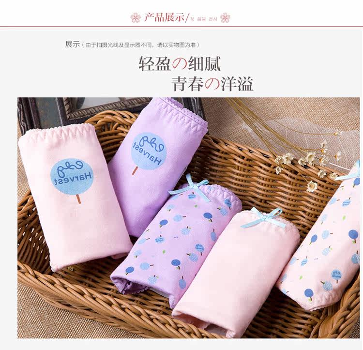 Slip jeunesse NF14252334 en coton - Ref 669042 Image 19