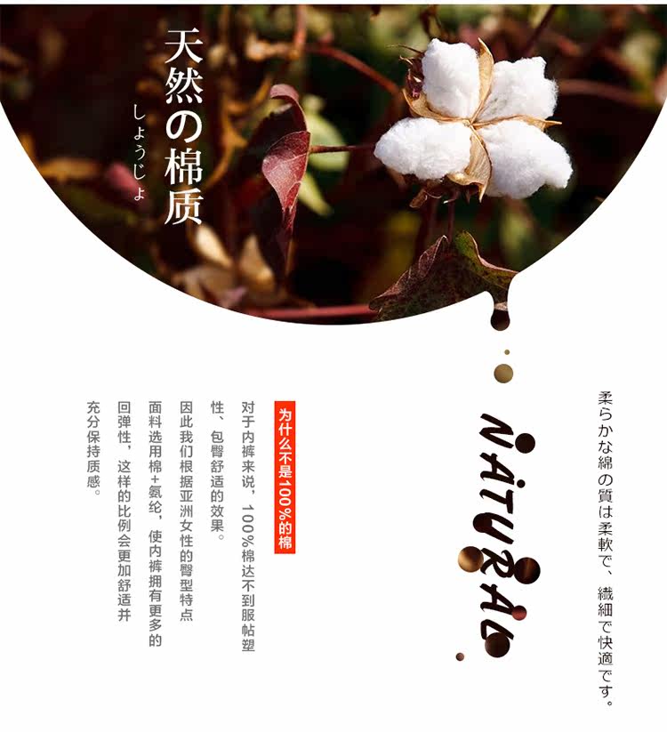 Slip jeunesse doux en coton - Ref 669104 Image 10