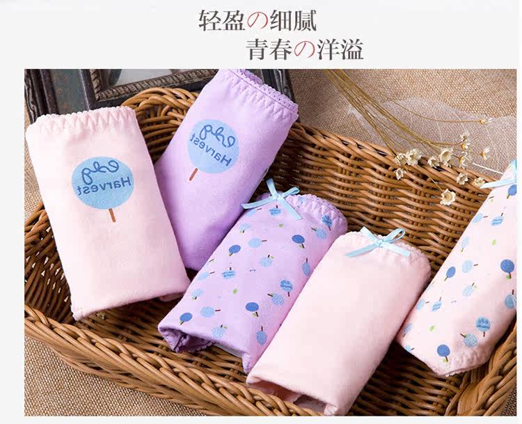 Slip jeunesse simple en coton - Ref 669075 Image 25