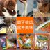 Mạnh Dashu chó ăn vặt răng chuột - Đồ ăn vặt cho chó cám chó smartheart Đồ ăn vặt cho chó