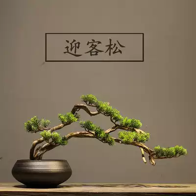 New Chinese Zen welcome pine flower pot bonsai decoration dry landscape micro landscape green plant pot home decoration